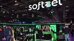 Soft2Bet presenta una nueva marca para el controlador de videojuegos Betinia