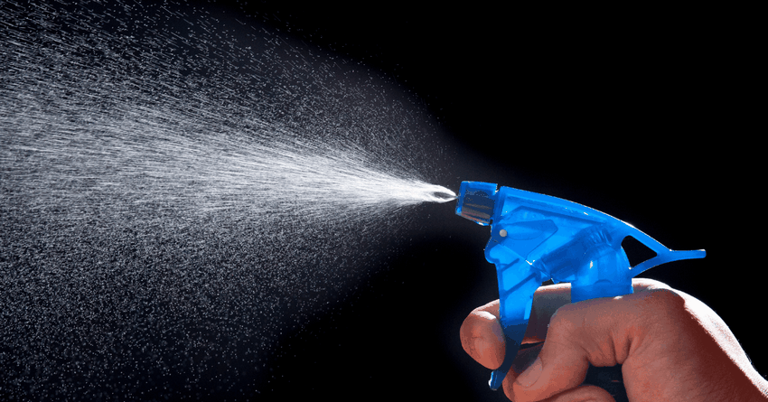 Discover if You've Obtained What it Takes to Come To Be the Following Large Pornography Celebrity